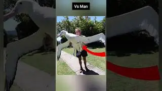 Things that are bigger than you think #shorts #viral 😳