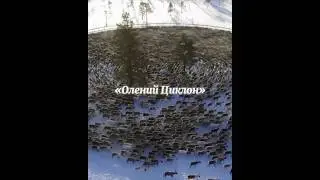 Чудеса природы — Олений Циклон