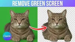 How To Remove Green Screen From A Video In Canva