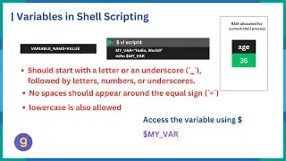 Understanding Variables in Shell Scripting | How Variables Work in Shell
