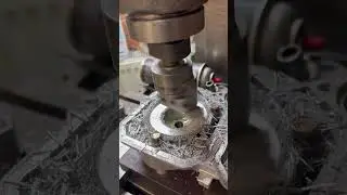 Тренируемся на кошках‼️🤟