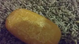 The Wrost Vid In My Lifey