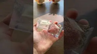 HOW TO SAVE FOOD FOR 1 YEAR IN EPOXY RESIN