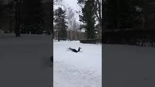 REENIPÄIVÄ