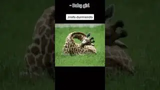 Cosas que jamas habías visto ... PT2