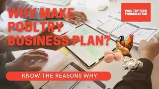 11 REASONS TO WRITE A POULTRY FARM BUSINESS PLAN (HD QUALITY)