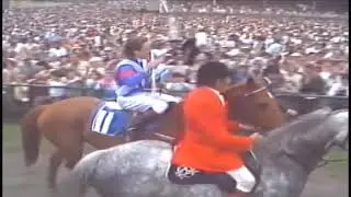1983 VRC FLEMINGTON Melbourne Cup _ Winning Rider Comments