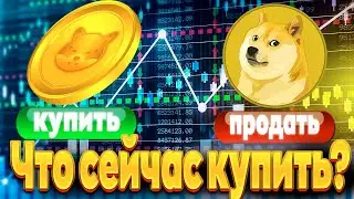 Что купить сейчас Shiba inu или Dogecoin