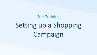Setting up a Shopping Campaign