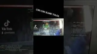 slime tolol