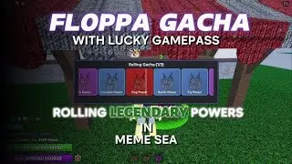 getting dog power and rolling a ton in meme seas