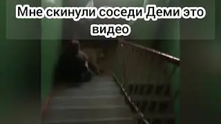 Здесь два видео, одно мне сегодня скинула соседка Деми, второе какая она была перед поездкой в С-Пб