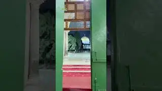 Say Subhan Allah
