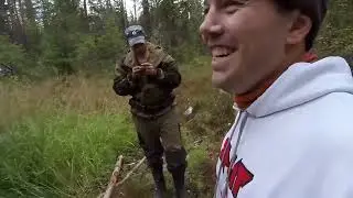 добрались