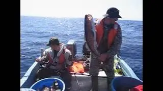 Морская рыбалка на Сахалине