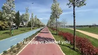 Tuzla Gölü-Mercan Sahil 