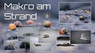 Makrofotografie am Strand