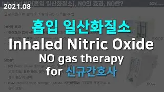Inhaled Nitric Oxide 흡입 일산화질소 for 신규간호사 (No gas therapy, NO-A)