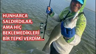 KOCA KOCA BALIKLARI SEVİP SEVİP SALDIM... BU BİR İLİZYON
