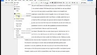 Page Numbers and Footnotes in Google Docs