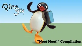 Pingu 