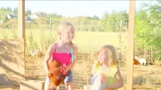 Young blonde girls throw chickens into the air HD stock video