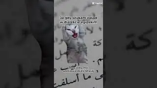Ja gdy szukam zasad w dialekcie egipskim #egipt #arabski #dialektegipski