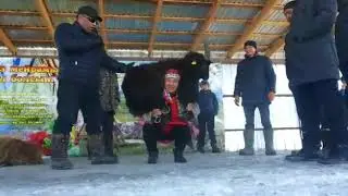 Теке көтөргөн аял👏👏👏