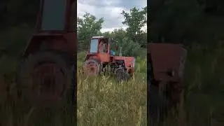 привели пляж 🌴 в порядок