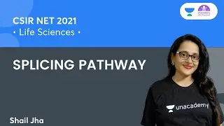 Splicing (L-03) | SPLICING PATHWAY | 🎯for CSIR NET 2021 by Shail Jha