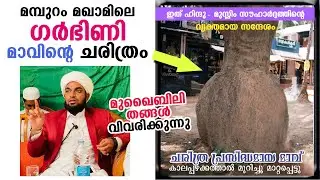 മമ്പുറം മഖാമിലെ ഗർഭിണി മാവിന്റെ പലർക്കും അറിയാത്ത ചരിത്രം...!! Latest  islamic speech mampuram maqam
