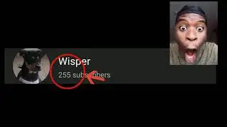 255 subs