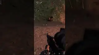 #squad