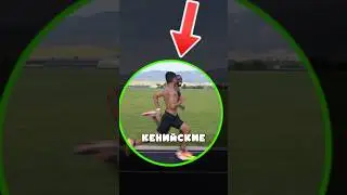 Они Всегда Побеждают! 