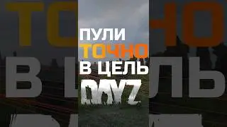 Dayz Life hack | Пули в точку Дейз 