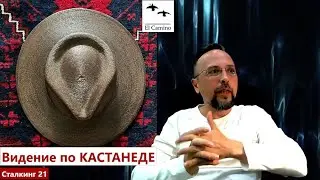 Коннект 2024 с Кастанедой и Дон Хуаном