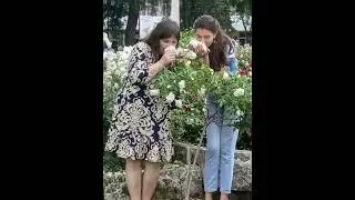 Прогулка с подругой Машей.Каждая встреча с ней-праздник. #прогулка #новинка2024 #баневич #shorts