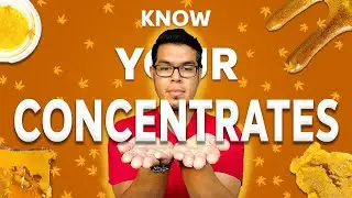 Grassdoor - Badder vs Shatter vs Resin - Know Your Concentrates!