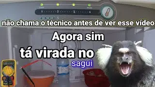 geladeira Consul muito gelo nem gelava nem congelava o que fazer nessas horas assista até o final
