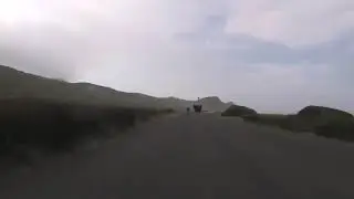 an ostrich joined the bike race and everyone got a second wind