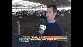 Cristóbal Chiavassa  - Tambo con sistema de cama caliente - Pcia. De Santa Fe