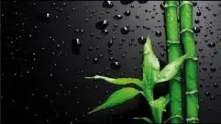 Christoper Atkins and Kristy McNichol - First Love (w/lyrics)