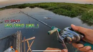 HOKI‼️KALIMANTAN NIHHH BOSS | CASTING TOMAN KALIMANTAN