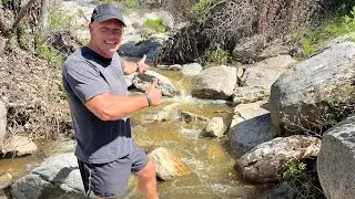 Gut Check All Terrain - Ramona, CA