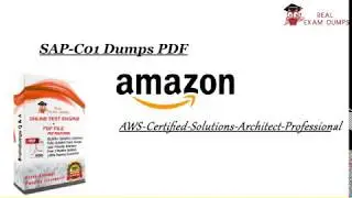 SAP-C01 Dumps Practice Exam Questions - RealExamDumps