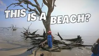 Driftwood Beach Savannah Georgia
