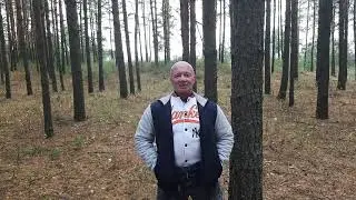 ВСЕ КЛЮЧИ к Мужской Силе