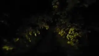 Фары или люстра   сравнение