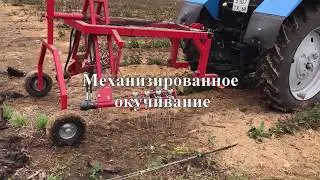 Маточник клоновых подвоев с применением органического субстрата