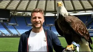 Ciro Immobile Show Gol ve Asistleri  Serie A 2022/23